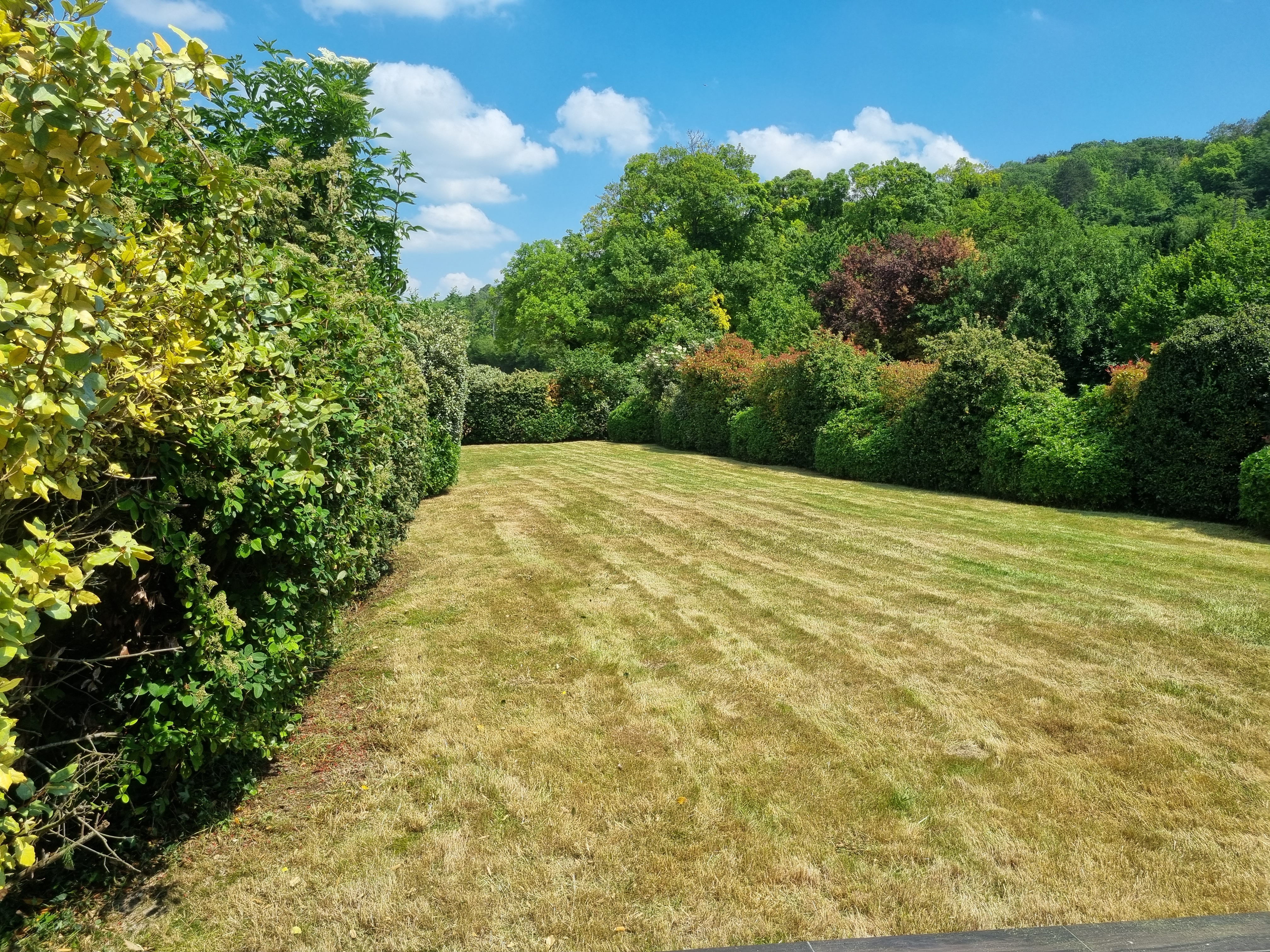 Chantier 1 après entretien jardin