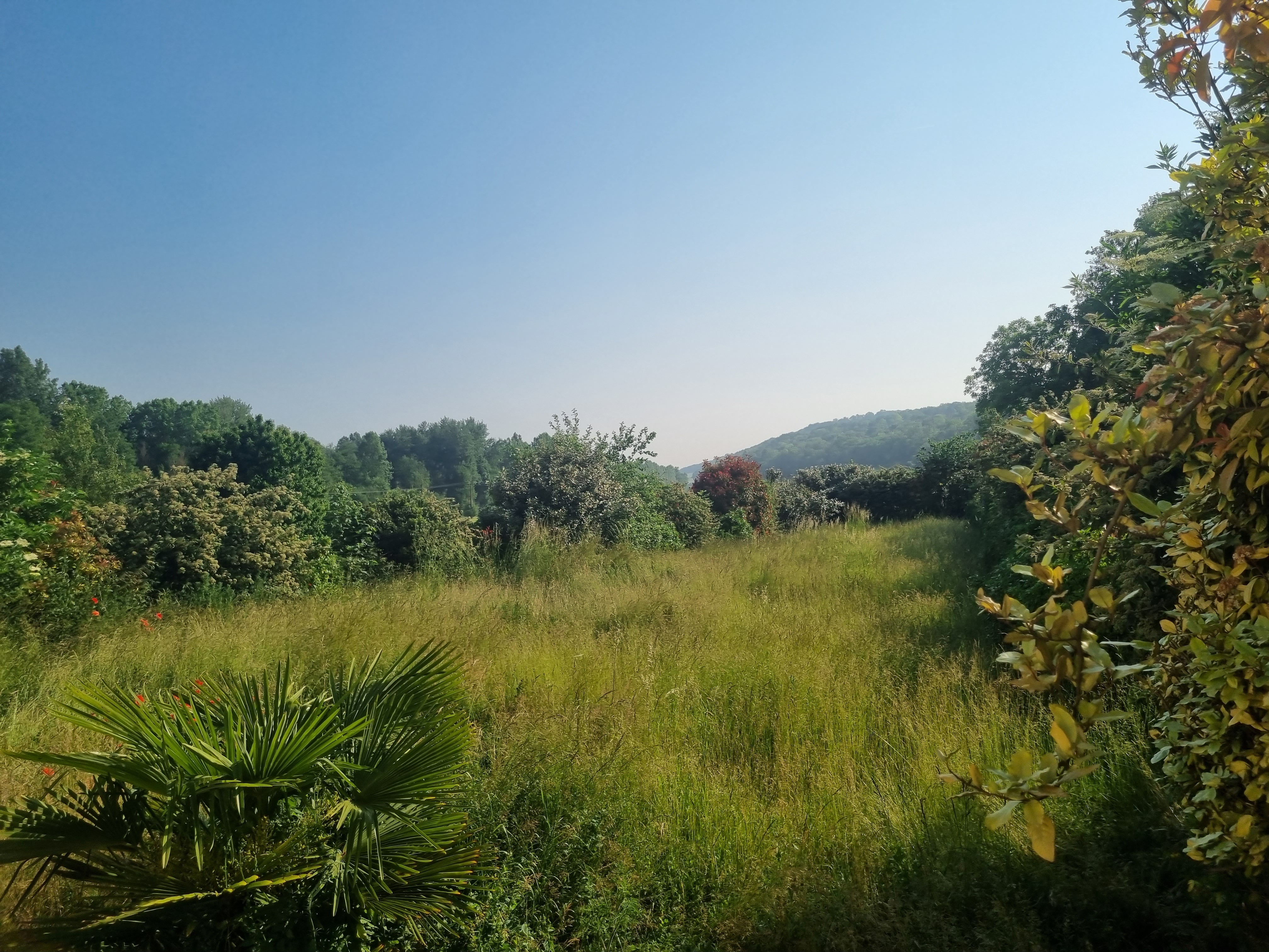 Chantier 1 avant entretien jardin